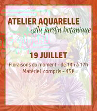 Atelier Aquarelle botanique, 