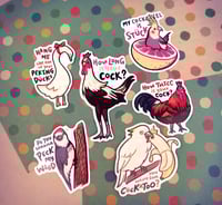 Image 1 of Sus birbs | Bird Memes Stickers