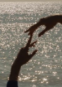 Image 1 of EQUILIBRIUM