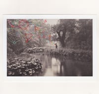 Image 2 of THE RIVER