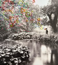 Image 4 of THE RIVER
