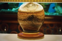 Image 2 of Woodturned Grass Tree Lamp