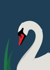 Swan