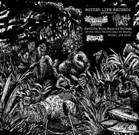 CRYPTIC BROOD & NIGHT HAG  VINYL