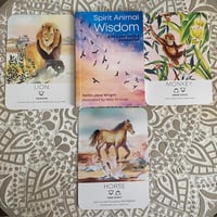 Image 4 of Spirit Animal Wisdom Oracle – Pre-Loved