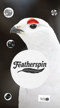 Image 1 of The Ptarmigan 