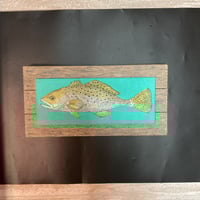 Image 3 of SPECKLED TROUT 