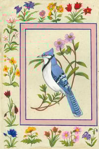Image 2 of North American Blue Jay | Indian Miniature Art Print