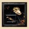 *Pre-order* Hymns for the Hopeless: 2003 Demos **LP**