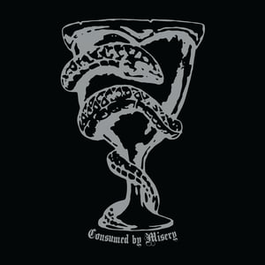 Image of Skirrhus – Consumed by Misery 12" LP