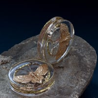 Image 2 of 48MM (1.89") Plugs - Epoxy Resin - Double Flared - Golden Death Moth 