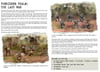 The Last War