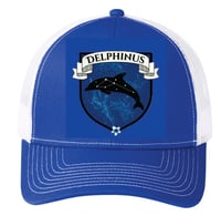 Delphinus Baseball Hat