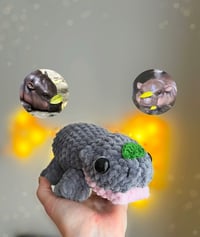 Image 4 of Moo Deng Baby Hippo Crochet Amigurumi Plushie - Viral Meme Pygmy Hippo Cute Stuffed Toy