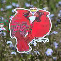 pride cardinals sticker
