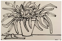 "Lillies in Clay Pot" by America Martin