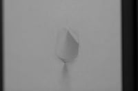 Image 2 of FRAME # 31