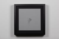 Image 1 of FRAME # 31