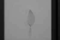 Image 2 of FRAME #43