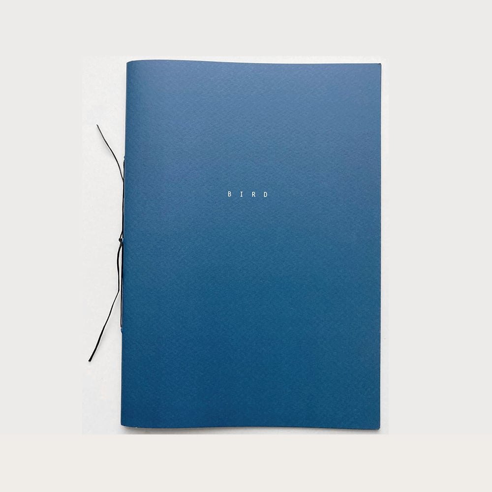 Image of BIRD [Zine + Print]