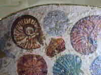 Image 6 of Aged paper mache bowl with shells. Antique style recycled paper plate.