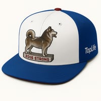 Image 5 of TopLife Herbert Hoover Pack