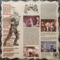 Image 2 of The Guana Batz – The Early Years (LP)