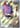 N's Zorua - 189 (Pokemon Center Exclusive) - SV: Scarlet & Violet Promo Cards - Near Mint