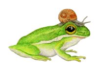 Frog and Friend Giclée Art Print 7"x5"