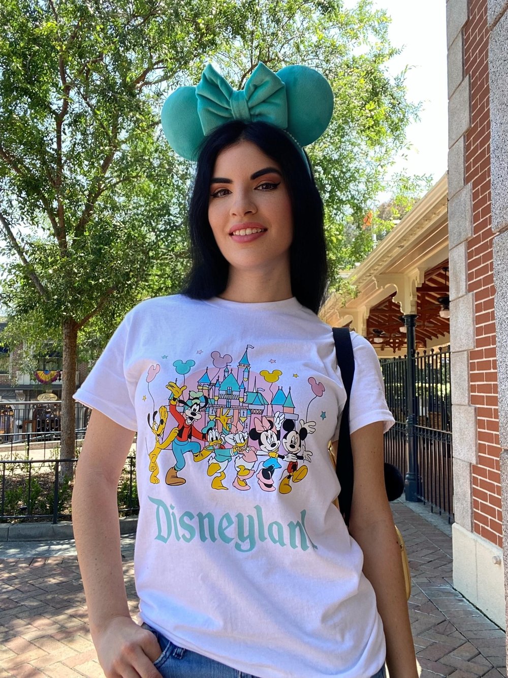 Image of Disneyland Favorite Friends