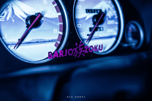 Image of VINYLEZOKU / VINYLEZOKU XL