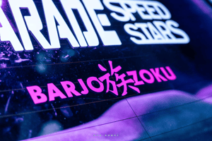 Image of VINYLEZOKU / VINYLEZOKU XL