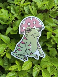 Mushroom Frog