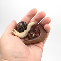 Image 3 of Snails!!!