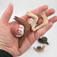 Image 5 of Snails!!!