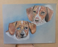 Image 1 of Pet Drawing (Color)