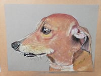 Image 2 of Pet Drawing (Color)