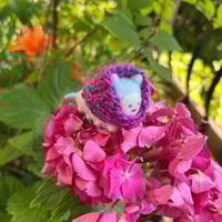 Image 1 of Beba the Bug