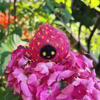 Image 1 of Candy the Strawberry