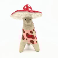 Image 1 of Fun Guy