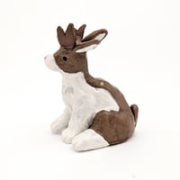 Image 1 of Jackalope