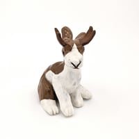 Image 2 of Jackalope