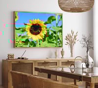 Image 3 of Sunflower and Bees Photography Fine Art Print Wall Decor