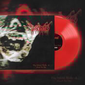 Image of Disgorged – Complete Discography - Vinyl