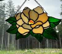 Image 2 of Magnolia Glow