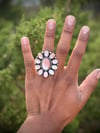 Large pink shell ring