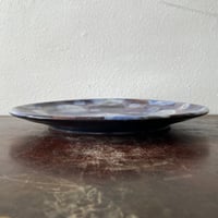 Image 4 of dot plate