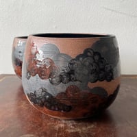 Image 4 of storm planters