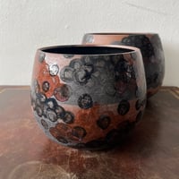 Image 2 of storm planters