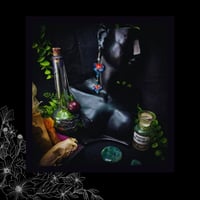 Image 2 of ☽ Hedera Borealis ☾